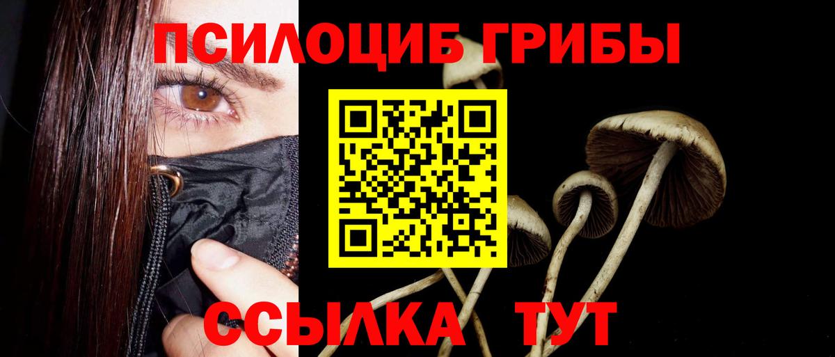 Псилоцибиновые грибы мухоморы  Галлюциногенные грибы мухоморы  Вход с VPN  Всеволожск 