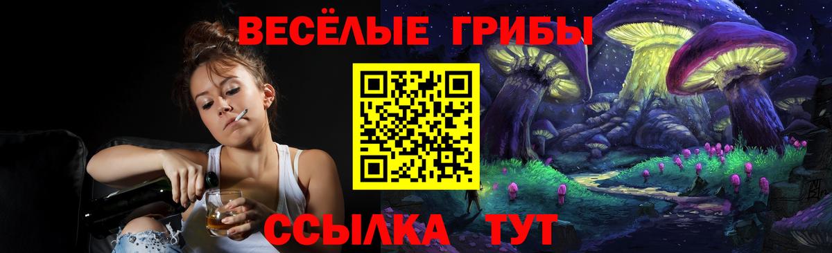 Псилоцибиновые грибы Psilocybe Всеволожск